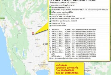 ขายที่นา ราคาถูกๆ  ไร่ละ 70,000 – 120,000 กำแพงเพชร อ.ขาณุวรลักษบุรี สลกบาตร เจ้าของขายเอง