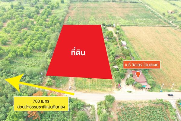 ที่ดินใกล้เชิงเขา บนทำเลเขาใหญ่ ปากช่อง จ.นครราชสีมา 8 ไร่