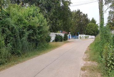 ขาย ที่ดิน ใกล้วัดหนองหิน บางคล้า-แปลงยาว ถนนสัตหีบ-พนมสารคาม อ.แปลงยาว จ.ฉะเชิงเทรา
