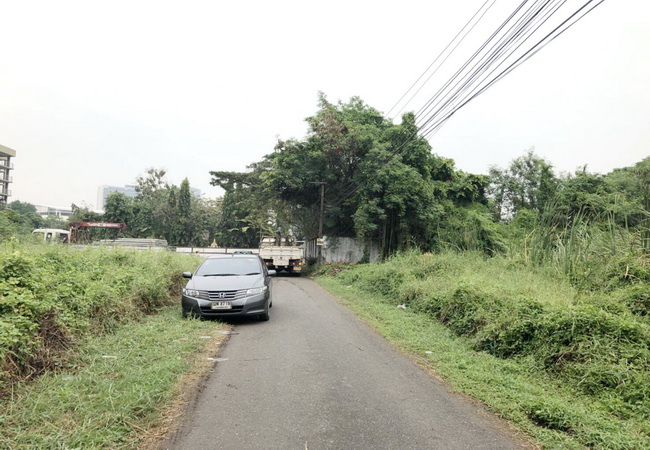 ขาย ที่ดิน ซอยลาซาล 41 สุขุมวิท 105 ถนนสุขุมวิท เขตบางนา กรุงเทพมหานคร