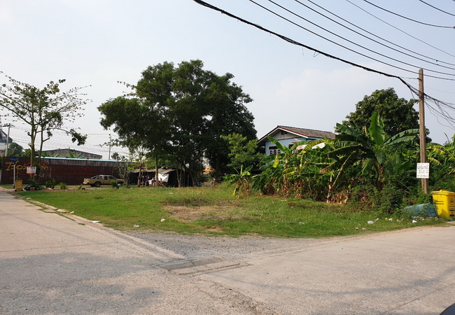 ขาย ที่ดิน ซอยพระแม่การุณย์ 6 ศรีสมาน ถนนติวานนท์ อ.ปากเกร็ด จ.นนทบุรี