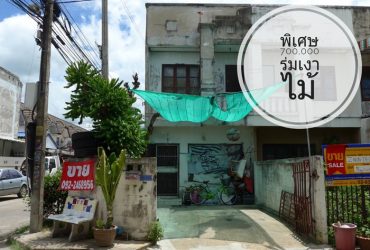 ขายด่วน ต่ำกว่าราคาตลาด ทาวน์เฮ้าส์ 2 ชั้น หมู่บ้านร่มเงาไม้ 19 ตร.วา ซ.วัดลาดปลาดุก ใกล้ตลาดกลางพฤษา 3