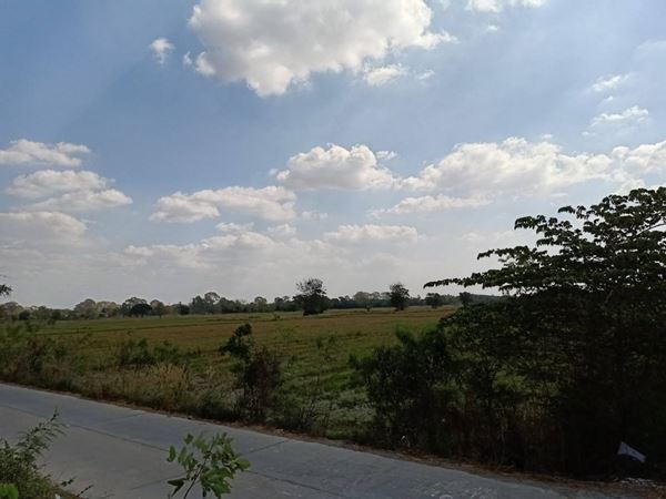 ขายที่ดิน เสาไห้ จังหวัดสระบุรี 33 ไร่ 148 ตร.ว. ทำเลดีสุดๆ (ขายถูก)