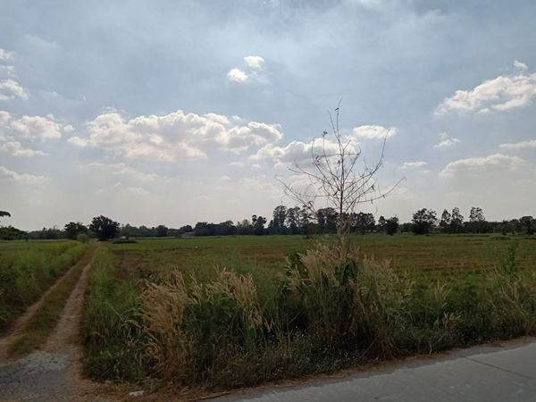 ขายที่ดิน เสาไห้ จังหวัดสระบุรี 33 ไร่ 148 ตร.ว. ทำเลดีสุดๆ (ขายถูก)