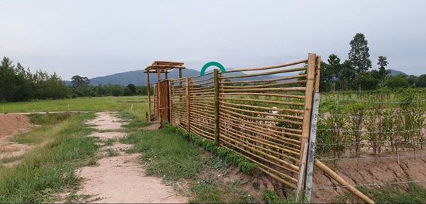 ที่ดิน ต.บ้านพร้าว อ.บ้านนา จ.นครนายก 100 ตร.ว. สวย ทำเลดี ใกล้ ร.ร.เตรียมทหาร