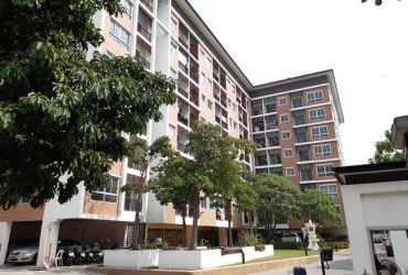 ให้เช่า คอนโด บี คอนโด(B Condo) ซอยบางนา-ตราด 39 ถนนบางนา-ตราด อ.บางพลี จ.สมุทรปราการ