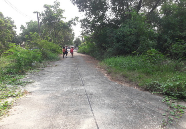 ขาย ที่ดิน ม.เนเบอร์โฮม วัชรพล ถ.สุขาภิบาล 5 ซ.82 ถนนรามอินทรา เขตสายไหม กรุงเทพมหานคร