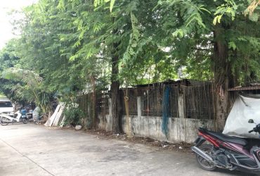 ขาย ที่ดิน ทวีทอง 3 เลี่ยงเมืองบางบ่อ ถนนบางนา-ตราด อ.บางบ่อ จ.สมุทรปราการ
