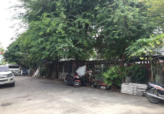 ขาย ที่ดิน ทวีทอง 3 เลี่ยงเมืองบางบ่อ ถนนบางนา-ตราด อ.บางบ่อ จ.สมุทรปราการ