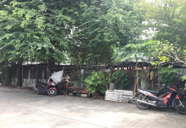 ขาย ที่ดิน ทวีทอง 3 เลี่ยงเมืองบางบ่อ ถนนบางนา-ตราด อ.บางบ่อ จ.สมุทรปราการ