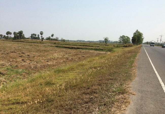 ขาย ที่ดิน ถนนยางชุมน้อย-ศรีสะเกษ อ.ยางชุมน้อย จ.ศรีสะเกษ