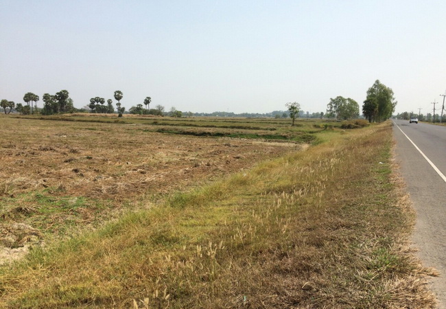 ขาย ที่ดิน ถนนยางชุมน้อย-ศรีสะเกษ อ.ยางชุมน้อย จ.ศรีสะเกษ