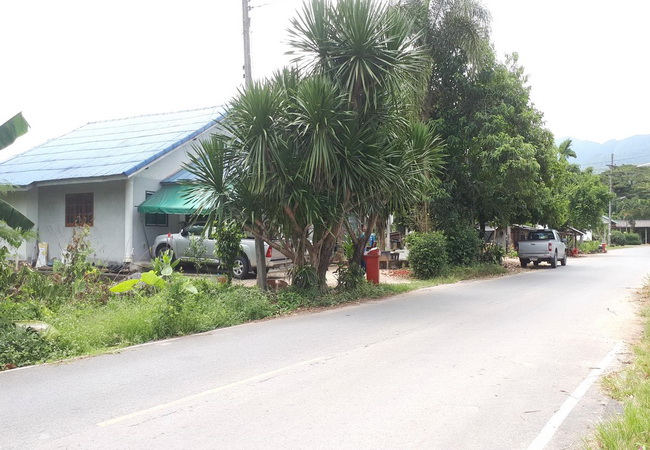ขาย ที่ดิน บ้านหาดทราย ซ.ค่ายลูกเสือจังหวัด ถ.โรงเหล็ก-พรหมคีรี-นครศรีฯ อ.นบพิตำ จ.นครศรีธรรมราช