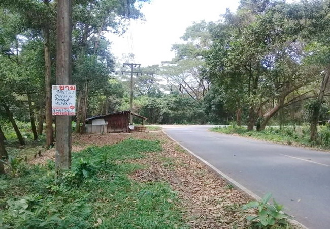 ขาย ที่ดิน บ้านหาดทราย ซ.ค่ายลูกเสือจังหวัด ถ.โรงเหล็ก-พรหมคีรี-นครศรีฯ อ.นบพิตำ จ.นครศรีธรรมราช