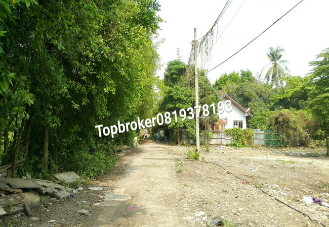 ขายที่ดิน ซอยเพชรเกษม 48 ถนนเพชรเกษม เขตภาษีเจริญ กรุงเทพมหานคร