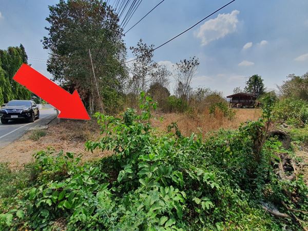 ขายที่ดิน ตำบลลาดหญ้า อำเภอเมือง กาญจนบุรี ทำเลดี 2 งาน 40 ตรว. ติดถนน