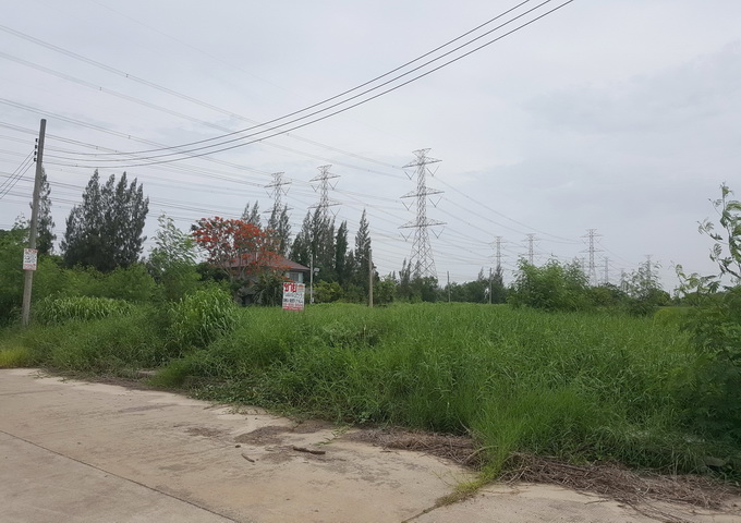 ขาย ที่ดิน สนามกอล์ฟวินเซอร์ ซอยสุวินทวงศ์ 15 ถนนสุวินทวงศ์ เขตหนองจอก กรุงเทพมหานคร