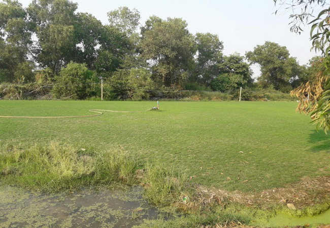 ขาย ที่ดิน คลอง 13   อ.ลำลูกกา จ.ปทุมธานี