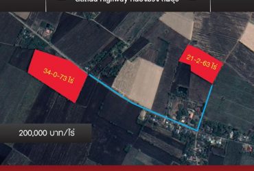 ขายที่ดินสวนสัก ติดถนน Highway หนองม่วง ลพบุรี