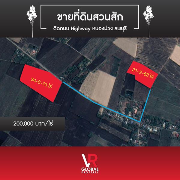 ขายที่ดินสวนสัก ติดถนน Highway หนองม่วง ลพบุรี