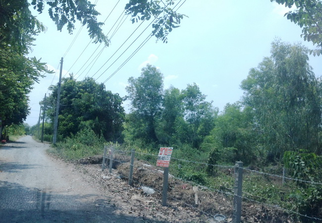 ขาย ที่ดิน คลอง 12 ถนนรังสิต-นครนายก อ.หนองเสือ จ.ปทุมธานี