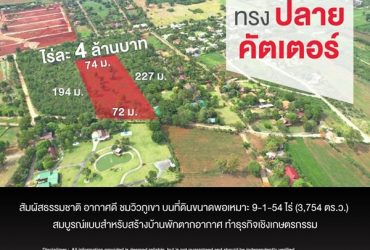 ขายที่ดินเขาใหญ่ ปากช่อง นครราชสีมา ทรงปลายคัตเตอร์ อากาศดี ชมวิวภูเขา
