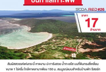 ที่ดินน่าจับจอง เกาะพีพี สัมผัสสวรรค์แห่งกระบี่ หาดงาม ปะการังสวย น้ำทะเลใส