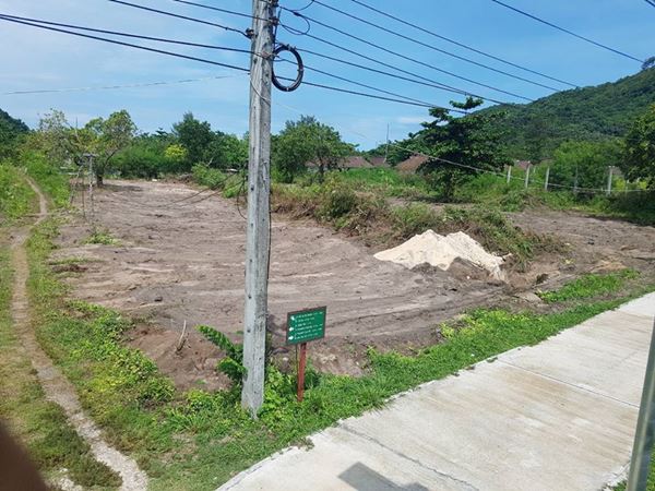 ที่ดินน่าจับจอง เกาะพีพี สัมผัสสวรรค์แห่งกระบี่ หาดงาม ปะการังสวย น้ำทะเลใส