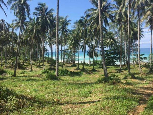 ขายที่ดินเกาะกูด จ.ตราด 9 ไร่ ติดริมหาดบนเกาะกูด