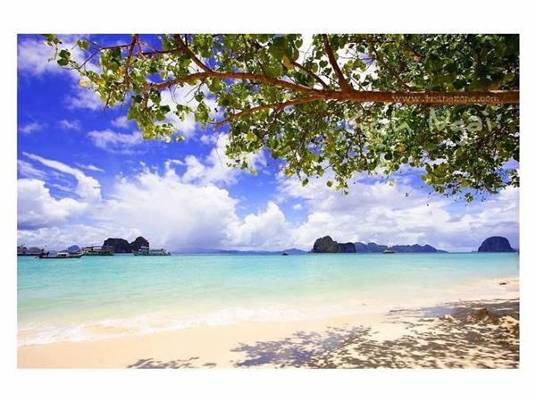 ที่ดินเกาะไหง จ.กระบี่ 38 ไร่ 260 ตร.วา ผืนงามมาก อยู่หน้าหาดพอดีเลย