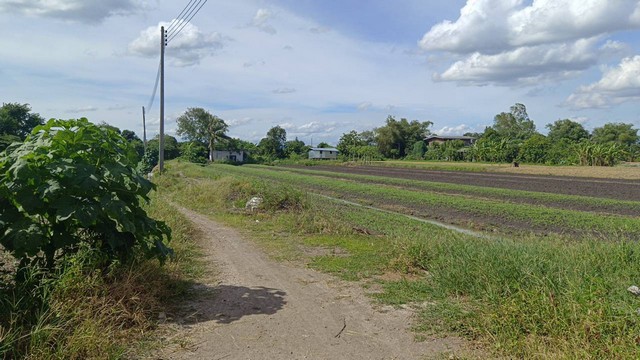 ขาย พื้นที่ดิน ที่ดิน บางเดื่อ ใกล้ถนนราชพฤกษ์ ตัดใหม่ ปทุมธานี area 4576 ตารางวา  8000000 BAHT ใกล้ ใกล้ถนนราชพฤกษ์ ตัดใหม่ ปทุมธานี +++