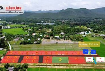 ขายที่ดินเริ่ม155ตรว.970,000บาท รวมโอน สาธารณูปโภคและถมที่ ต.แช่ช้าง อ.สันกำแพง เชียงใหม่