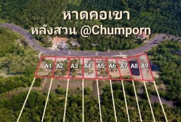 ขายที่ดิน หาดคอเขา หลังสวน ชุมพร ติดถนนเลียบชายหาด