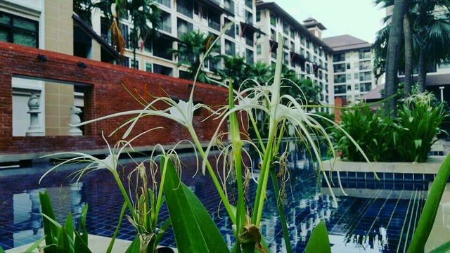 ขาย คอนโด บ้านนวธารา เกษตร-นวมินทร์ ราคาถูกมาก เพียง2.2ล้านบาท เท่านั้น