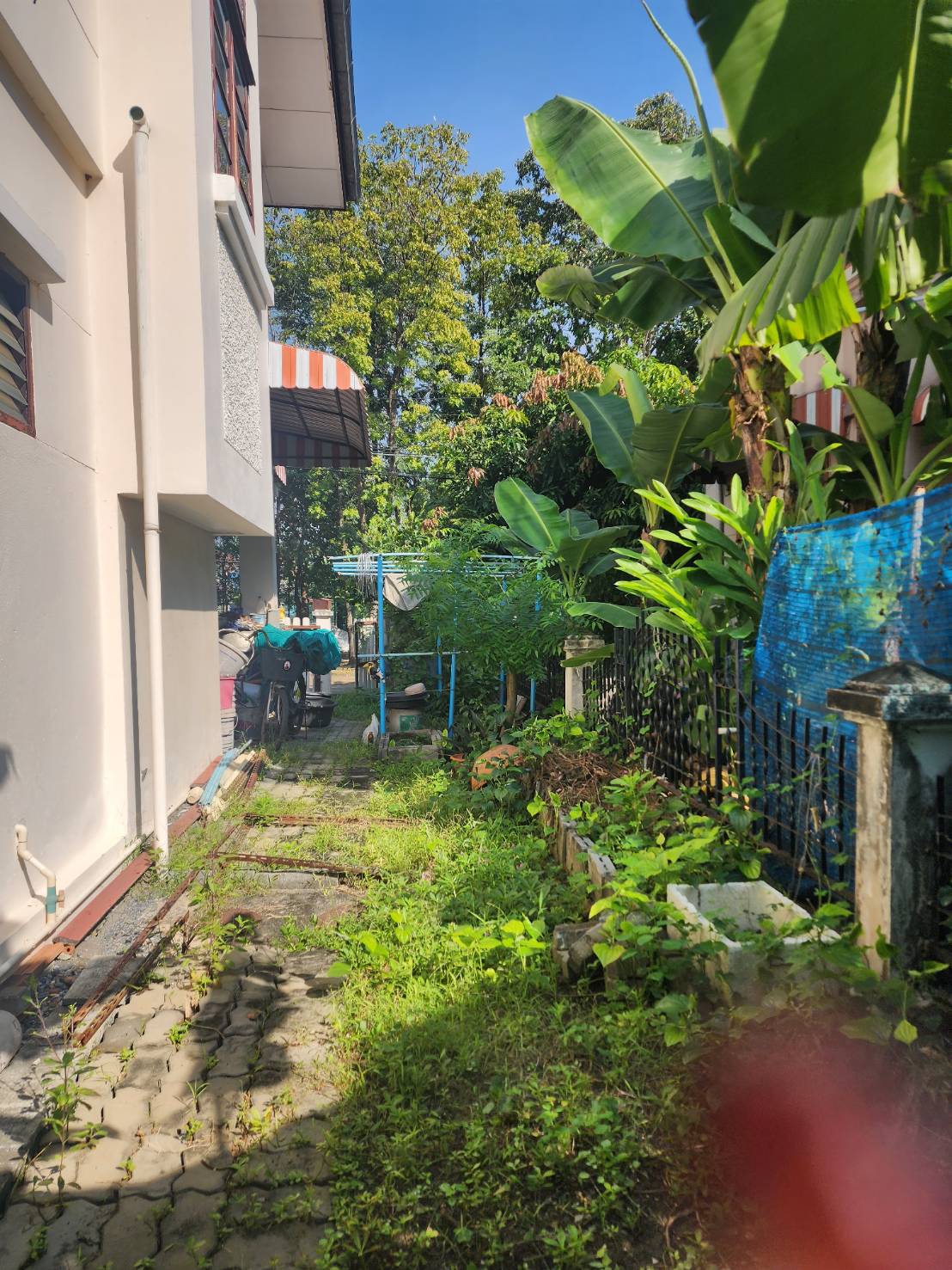 ขายด่วน บ้าน สีวลี ติวานนท์ 50 Square Wah 3 นอน ใกล้ ใกล้ โรงเรียนอัมพรไพศาล และโรงเรียน พิศยศึกษา สะพานพระราม 4, ศูนย์ราชการเฉลิมพระเกียรติ, เซ็นทรัล แจ้งวัฒนะ,อิมแพคอารีนา เมืองทองธานี,  -ม.นานาชาติหอการค้าไทย ใกล้ทางด่วน, รถไฟฟ้า BTS สายสีชมพู, รถไฟฟ้า MRT ส่วนต่อขยาย (สายสีม่วง)  บรรยากาศดี
