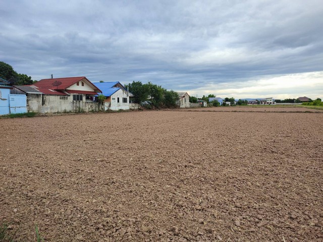 ขายที่ดินเปล่า 3 แปลง 8 ไร่ 1 งาน ในเมือง ต.หัวรอ อ.เมืองพิษณุโลก ไร่ละ 1.6 ล้านบาท
