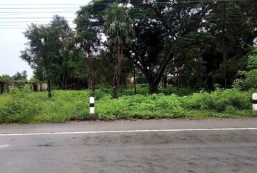 ขายที่ดินติดแม่น้ำท่าจีน 2 ไร่ อ เดิมบางนางบวช สุพรรณบุรี
