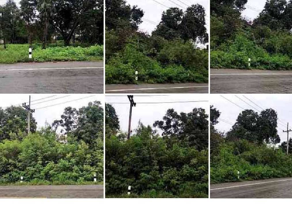 ขายที่ดินติดแม่น้ำท่าจีน 2 ไร่ อ เดิมบางนางบวช สุพรรณบุรี