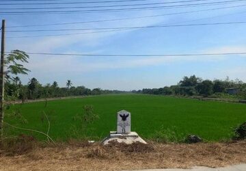 ขายที่ดินตามราคาประเมิน สนง.ที่ดิน ไทรน้อย ติดถนนฤชุพันธ์  50-2-69 ไร่ อยู่ติดถนนฤชุพันธ์ (นบ.3003)