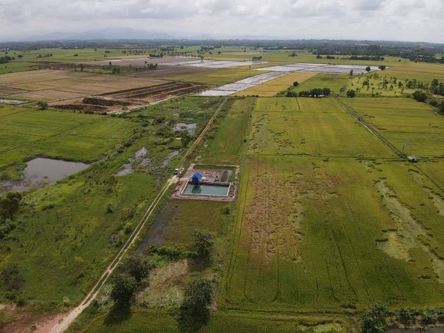 ที่ดิน 100 ตร.วา เพียง 250,000 บาท เท่านั้น ต.บ้านพริก อ.บ้านนา จ.นครนายก