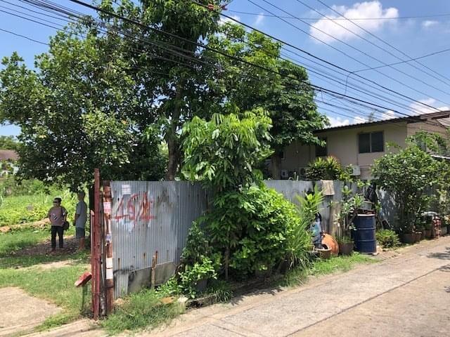 ขายที่ดินเปล่า พื้นที่ 98ตรว. ปุณณวิถี 37 ถนนสุขุมวิท101  บางจาก พระโขนง ใกล้สถานีBTSปุณณวิถี