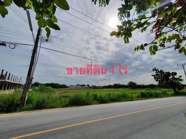 ขายที่ดินแปลงเล็ก ขายที่ดินเปล่า ที่ดินปลูกบ้าน ใกล้อมตะชลบุรี ที่ดินราคาถูก หนองหงษ์ พานทอง ชลบุรี