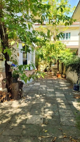 ขายด่วน บ้านเดี่ยว ชัยพฤกษ์ เทพารักษ์  67.4 ตร.วา เจ้าของบ้านขายเอง