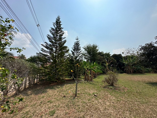 ที่ดินถมแล้ววิวภูเขา อ.ปากช่อง จ.นครราชสีมา 1 ไร่ 16 ตร.ว เหมาะปลูกบ้านพักอาศัย