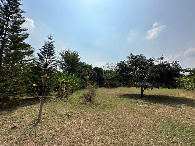 ที่ดินถมแล้ววิวภูเขา อ.ปากช่อง จ.นครราชสีมา 1 ไร่ 16 ตร.ว เหมาะปลูกบ้านพักอาศัย