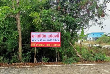 ขายที่ดิน ไทรน้อย ทวีวัฒนา 2 ไร่ 1 งาน ติดถนนคอนกรีต เลียบคลองสองไฟฟ้าประปา พร้อม