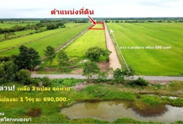 บ้านสวนคูณรัก อ.บ้านนา นครนายก แปลงละ 1 ไร่  ไร่ละ 690,000 บาท เท่านั้น