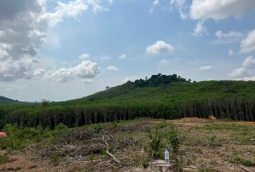 ขายที่ดินสวยระยอง ขายที่ดินเปล่าราคาถูกระยอง วิวเขา เหมาะทำจัดสรร ทำเกษตร ใกล้สวนปาริชาติระยอง กะเฉด เมืองระยอง