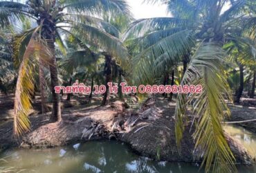 ขายที่ดิน 10ไร่ อ.ดำเนินสะดวก จ.ราชบุรี จากกรุงเทพไม่ไกล ได้บรรยากาศ อากาศดี ใกล้อัมพวา ตลาดน้ำดำเนินสะดวก ฯ