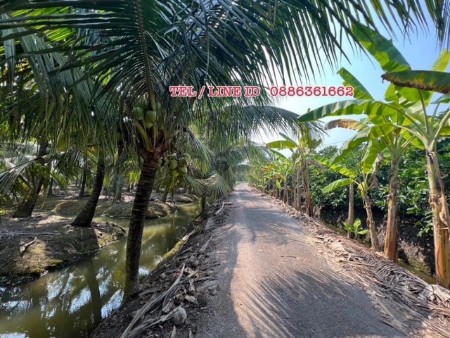 ขายที่ดิน 10ไร่ อ.ดำเนินสะดวก จ.ราชบุรี จากกรุงเทพไม่ไกล ได้บรรยากาศ อากาศดี ใกล้อัมพวา ตลาดน้ำดำเนินสะดวก ฯ